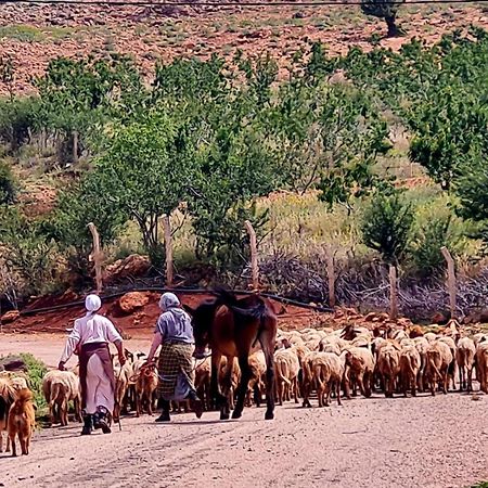 Ferme D"Hote Lala Fatima Ain Leuh Εξωτερικό φωτογραφία