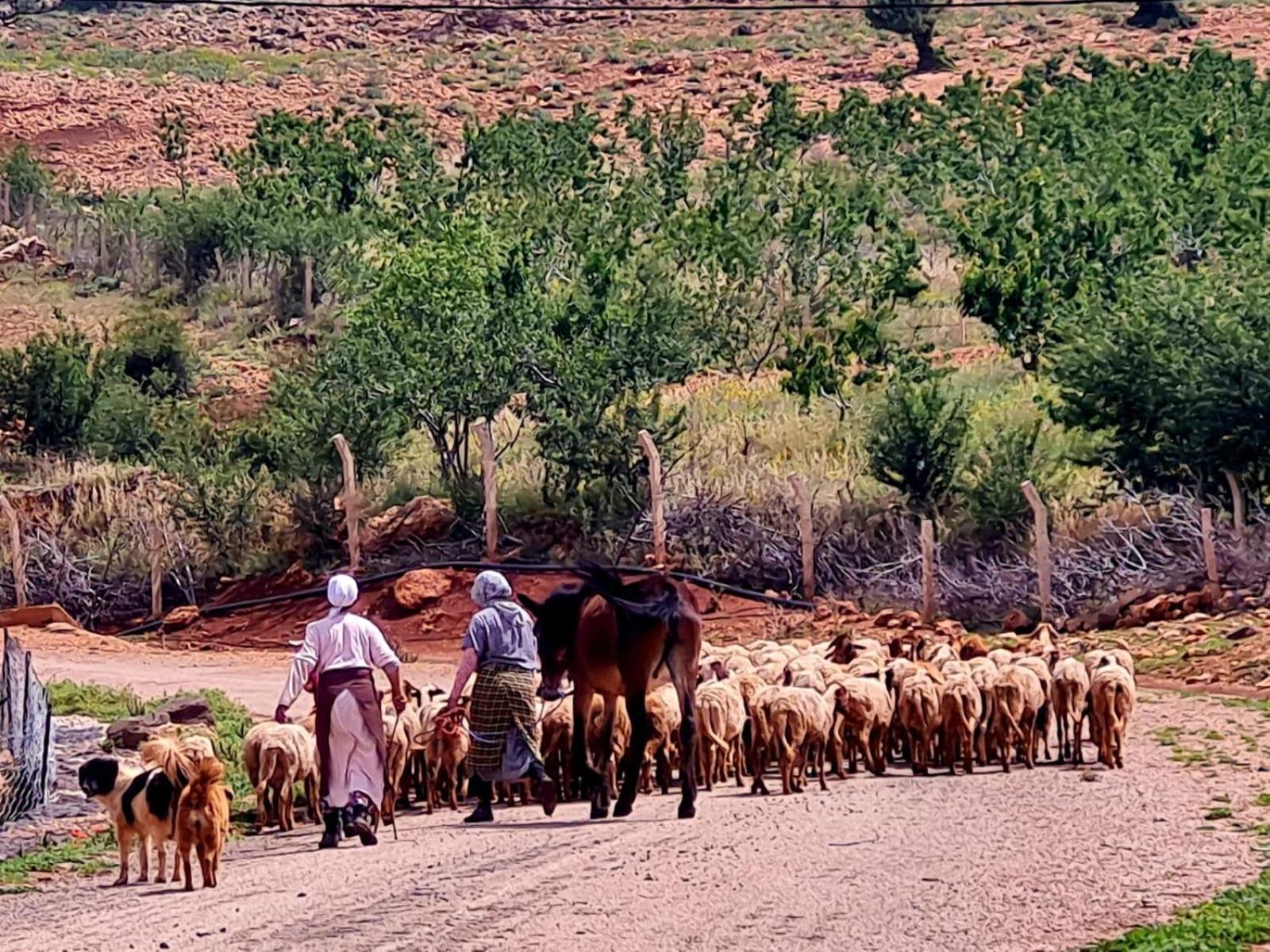Ferme D"Hote Lala Fatima Ain Leuh Εξωτερικό φωτογραφία