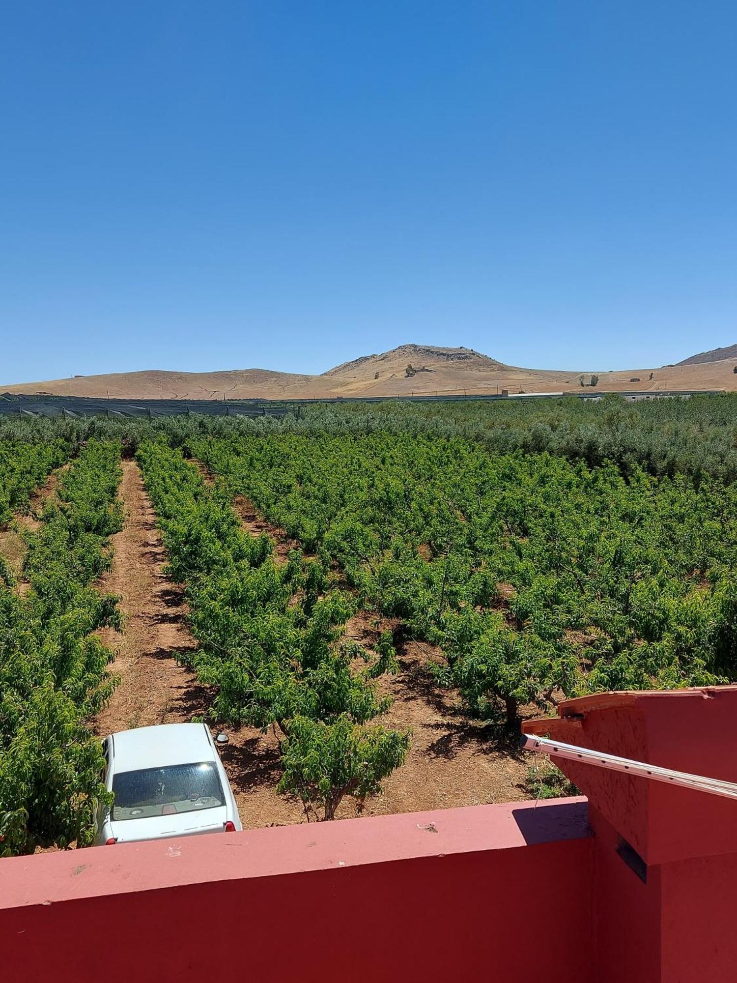 Ferme D"Hote Lala Fatima Ain Leuh Εξωτερικό φωτογραφία